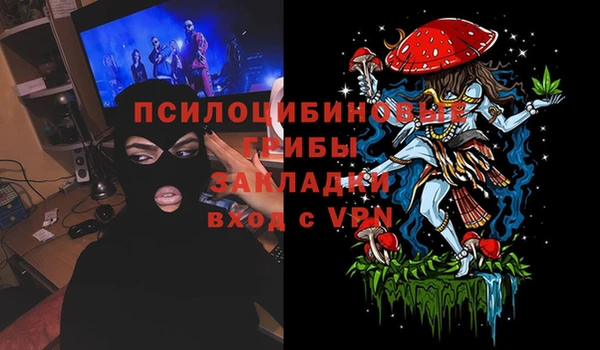 сатива Алзамай
