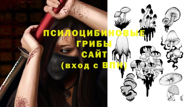 стаф Алексин