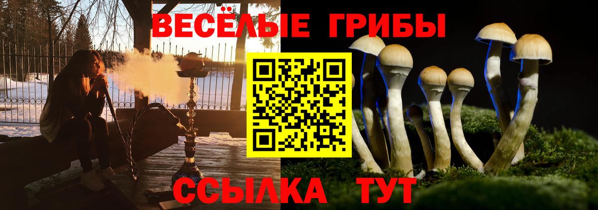 Галлюциногенные грибы Psilocybe  Вход с VPN  Псилоцибиновые грибы GOLDEN TEACHER  Алушта 